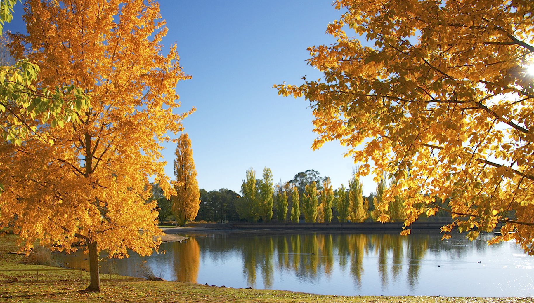 Is Autumn a Good Time to Sell Your Property?