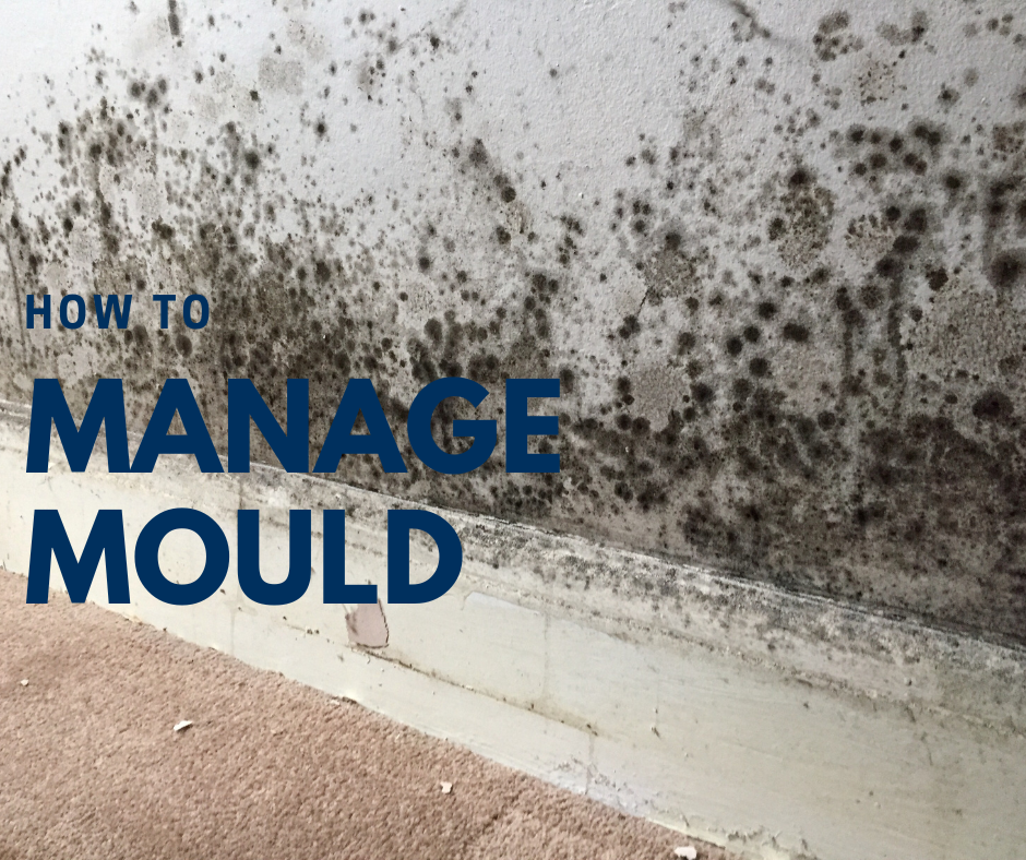 How to Manage Mould